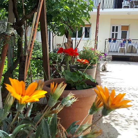 Lägenhet Marija 2 Zadar